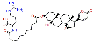 3-(N-Undecadienoyl argininyl)-marinobufagin